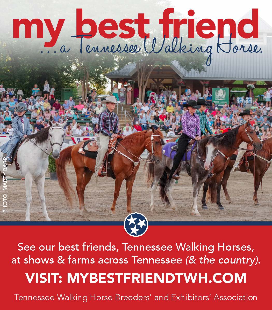 Tennessee Walking Horse Bresaders Association Ad