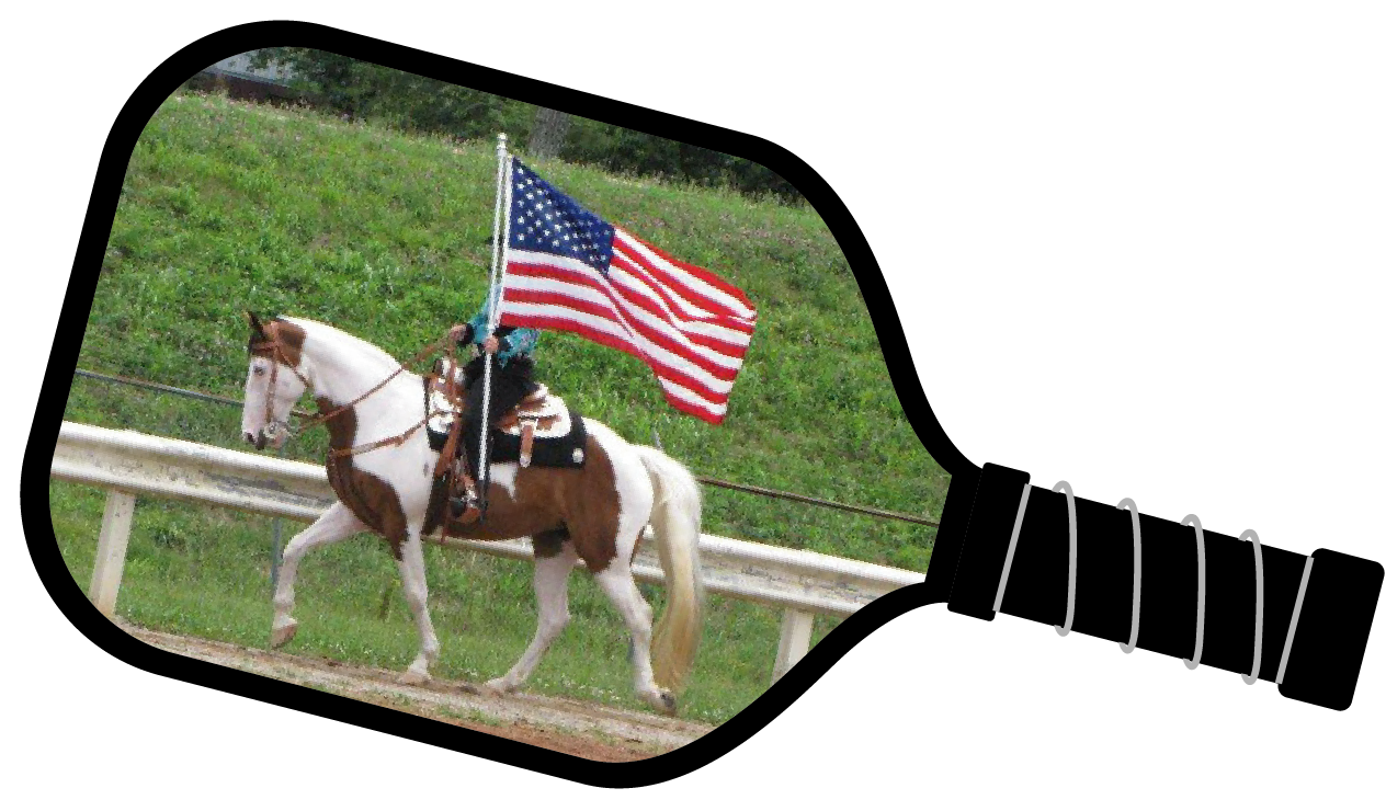 horse with flag