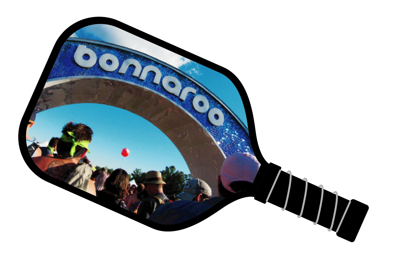 Bonaroo Picture